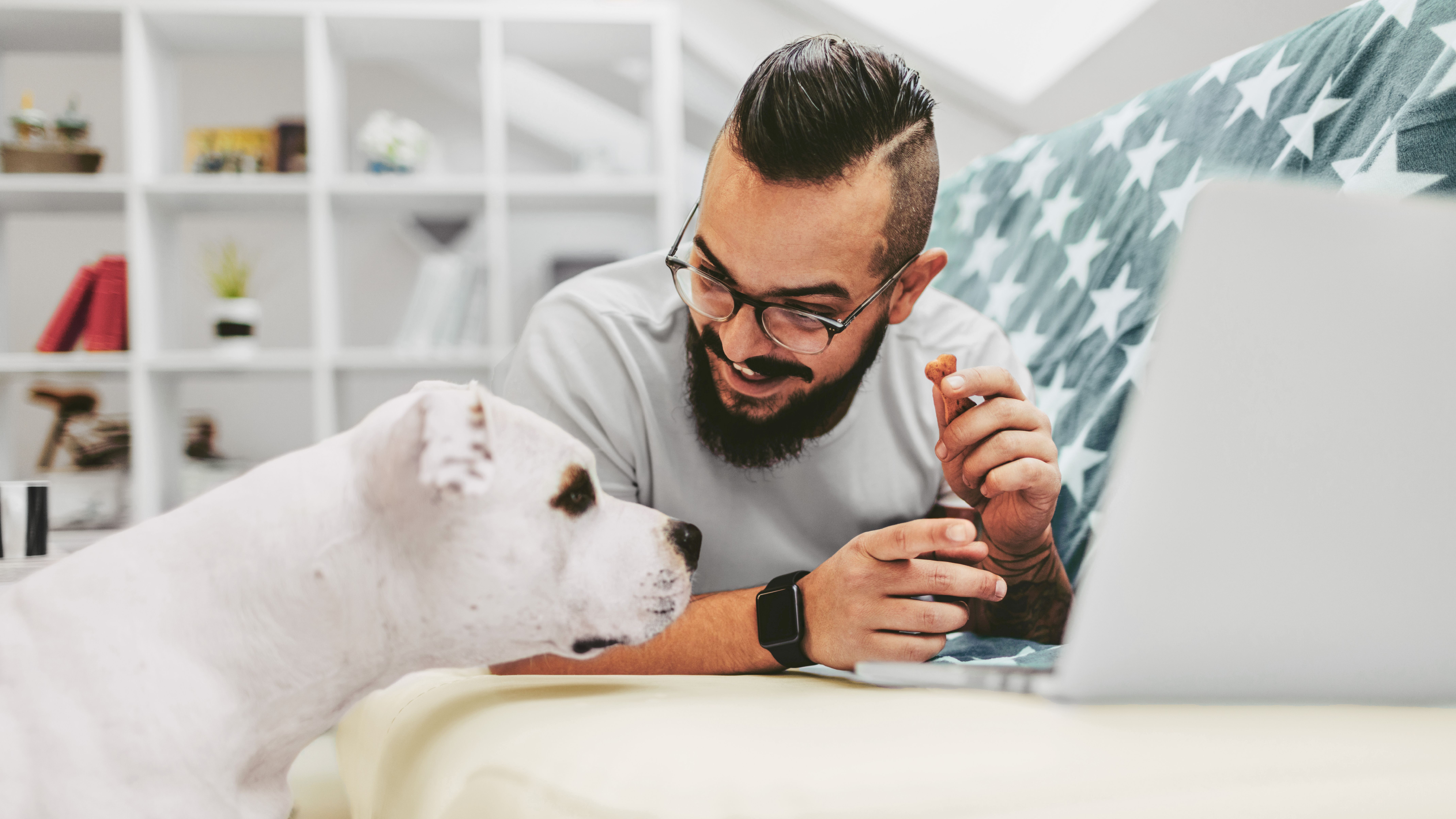Ein Mann surft im Internet und sein Hund schaut zu.