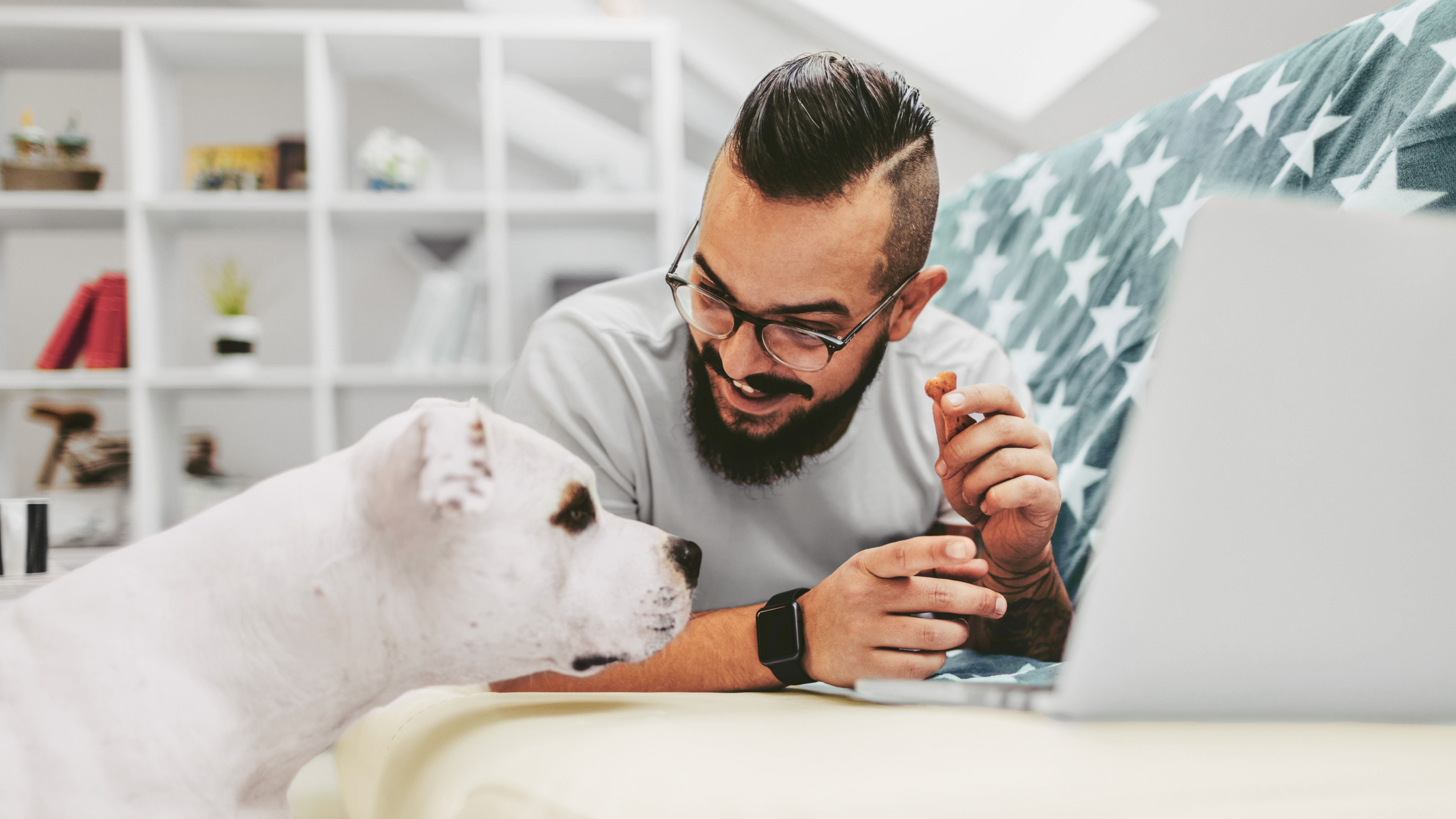 Stimmungsbild: Mann mit Hund im Internet am Surfen