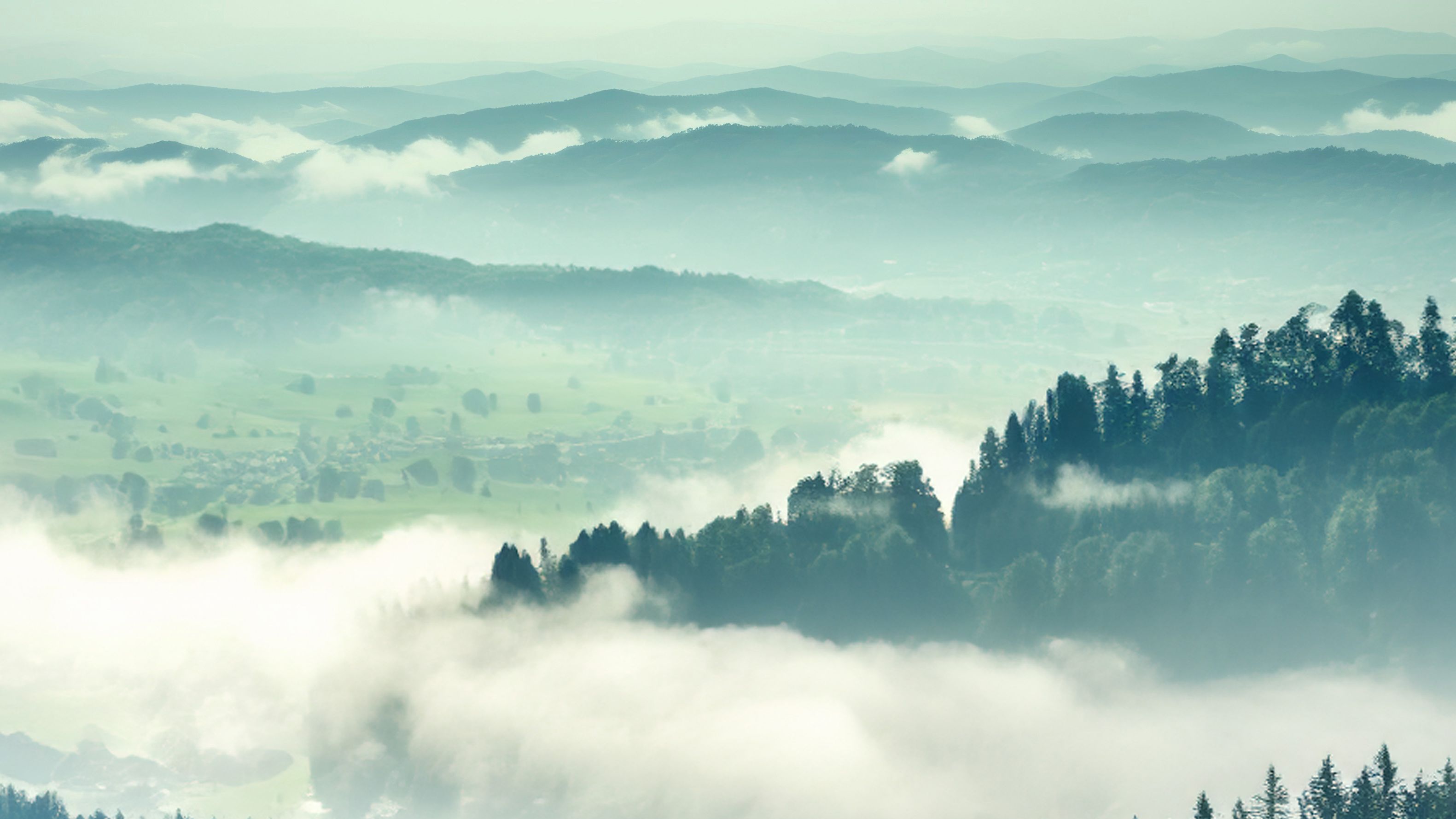 Extensive forest landscape with some fog
