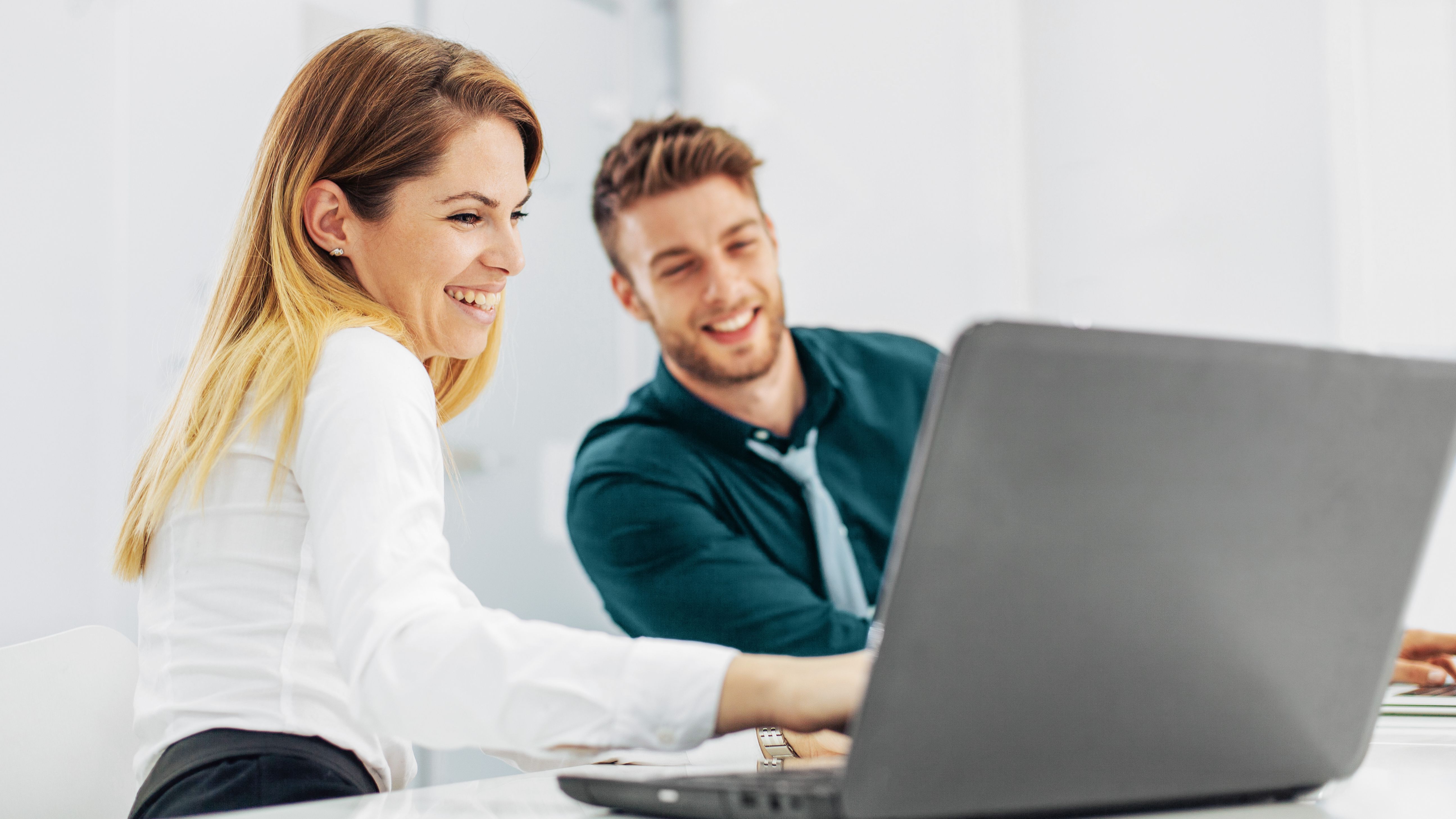 Team creates a website using WordPress